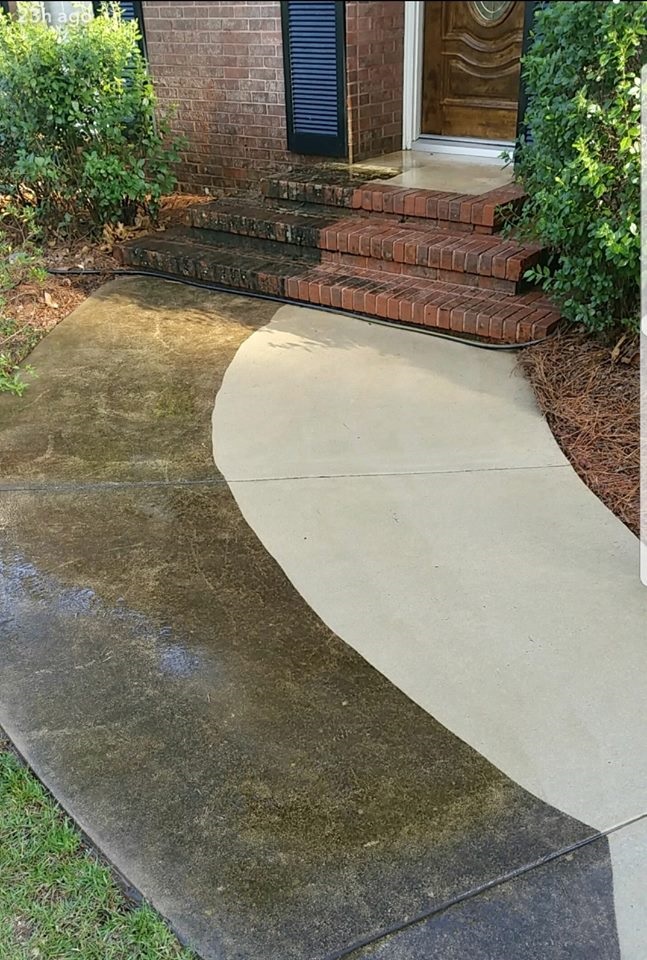 Roof Cleaning